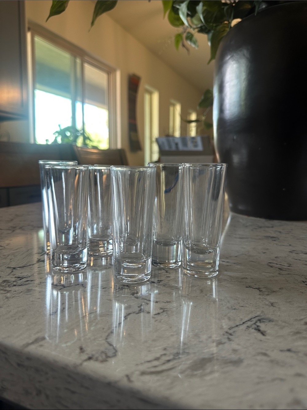 Clear Glass Shot Glass Set - 20 Pack